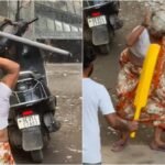 बंदर पर पत्थर फेंकना पड़ा भारी, महिला पर पलटवार… वायरल वीडियो से छिड़ी बहस