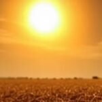 छत्तीसगढ़ में भीषण गर्मी, 46.5°C के साथ राजनांदगांव सबसे गर्म