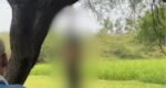 प्रेम कहानी का दर्दनाक अंत, पेड़ पर एक ही साड़ी से लटके मिले प्रेमी-प्रेमिका के शव