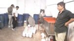 बिना टमाटर बन रहा था टोमेटो केचप, 2,000 किलो माल बरामद, 105 रुपये में बिकता था 5 किलो का डिब्बा